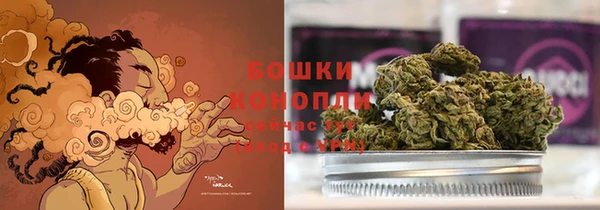 ПСИЛОЦИБИНОВЫЕ ГРИБЫ Аркадак