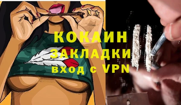 прущая мука Аша