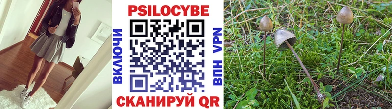 Псилоцибиновые грибы мицелий  Белоярский 